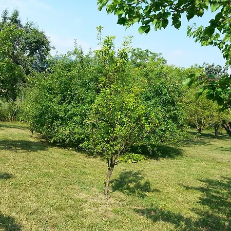 Refurbished 3 Bedroom In Emilia Semesterbostad *