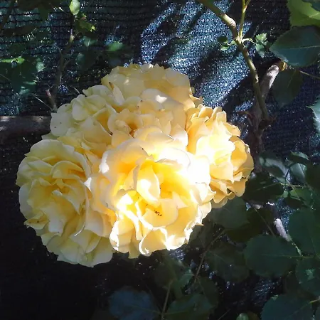 Refurbished 3 Bedroom In Emilia Πιατσέντζα