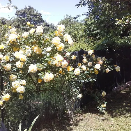 Refurbished 3 Bedroom In Emilia Σπίτι διακοπών *