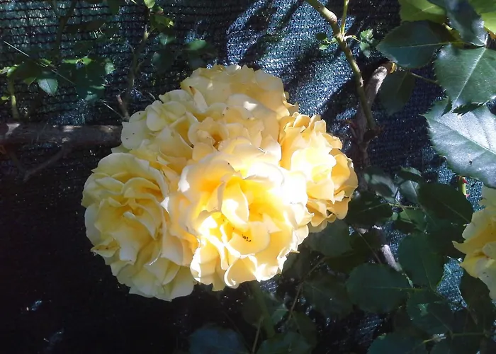 Refurbished 3 Bedroom In Emilia 皮亚琴察