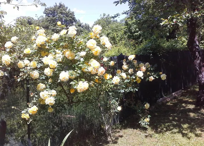 Refurbished 3 Bedroom In Emilia 度假居 *