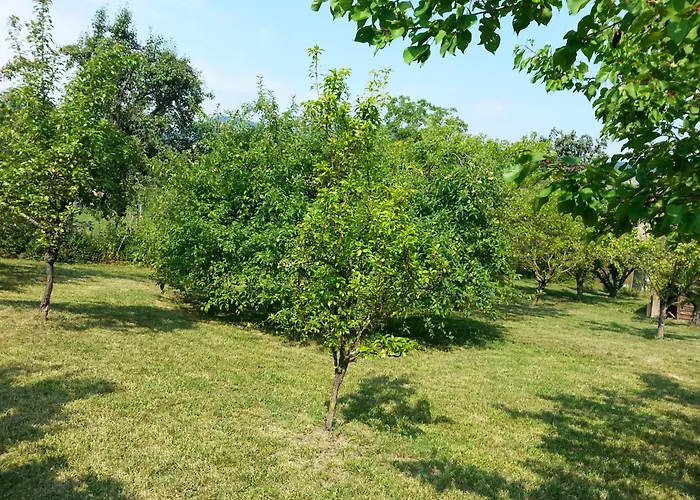 Refurbished 3 Bedroom In Emilia Vakantiehuis *